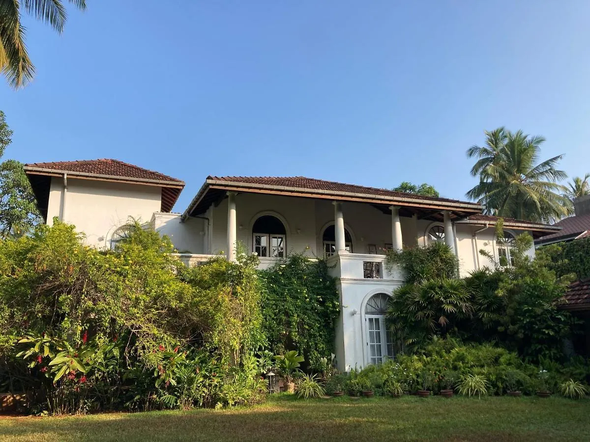 Bed and breakfast The Villa Green Inn Negombo